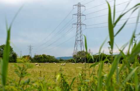Pylon in field