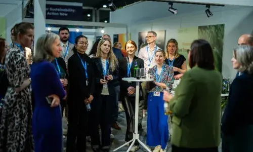 COP29