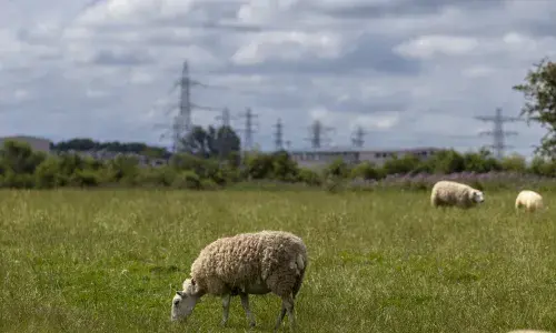 Cross Border Connection hero image