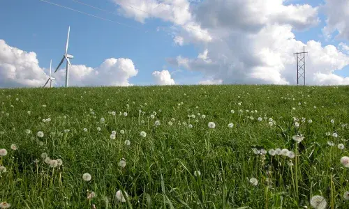 Green field with wind turbines and electricity transmission tower for National Grid US green bond story