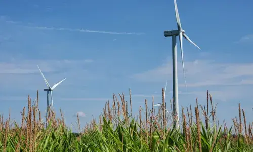For National Grid 'Net zero know-how' story