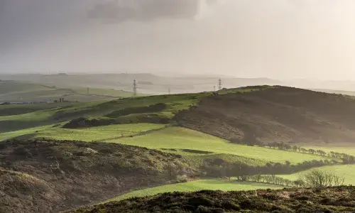 Transmission lines traversing green countryside - used for National Grid Hinkley Connection archaeological finds story