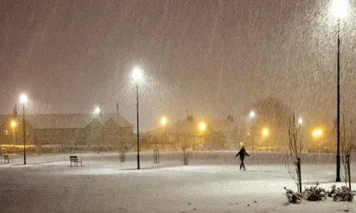 Person walking in a park beneath lit street lights as snow is falling