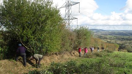 Group of people laying hedges in a field with beautiful views