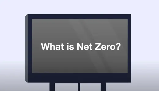 What is net zero?