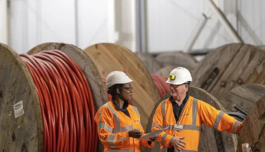 Electricity Distribution engineers