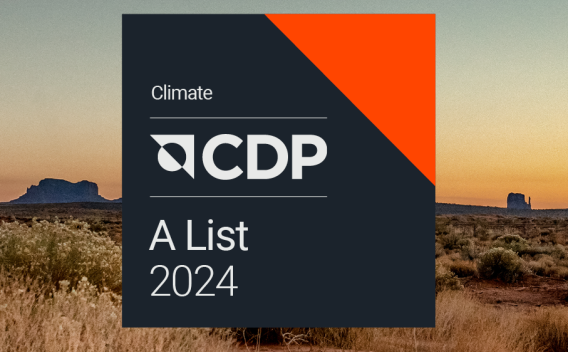 SDP A List Badge 